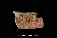 陶片藏品圖，第2張